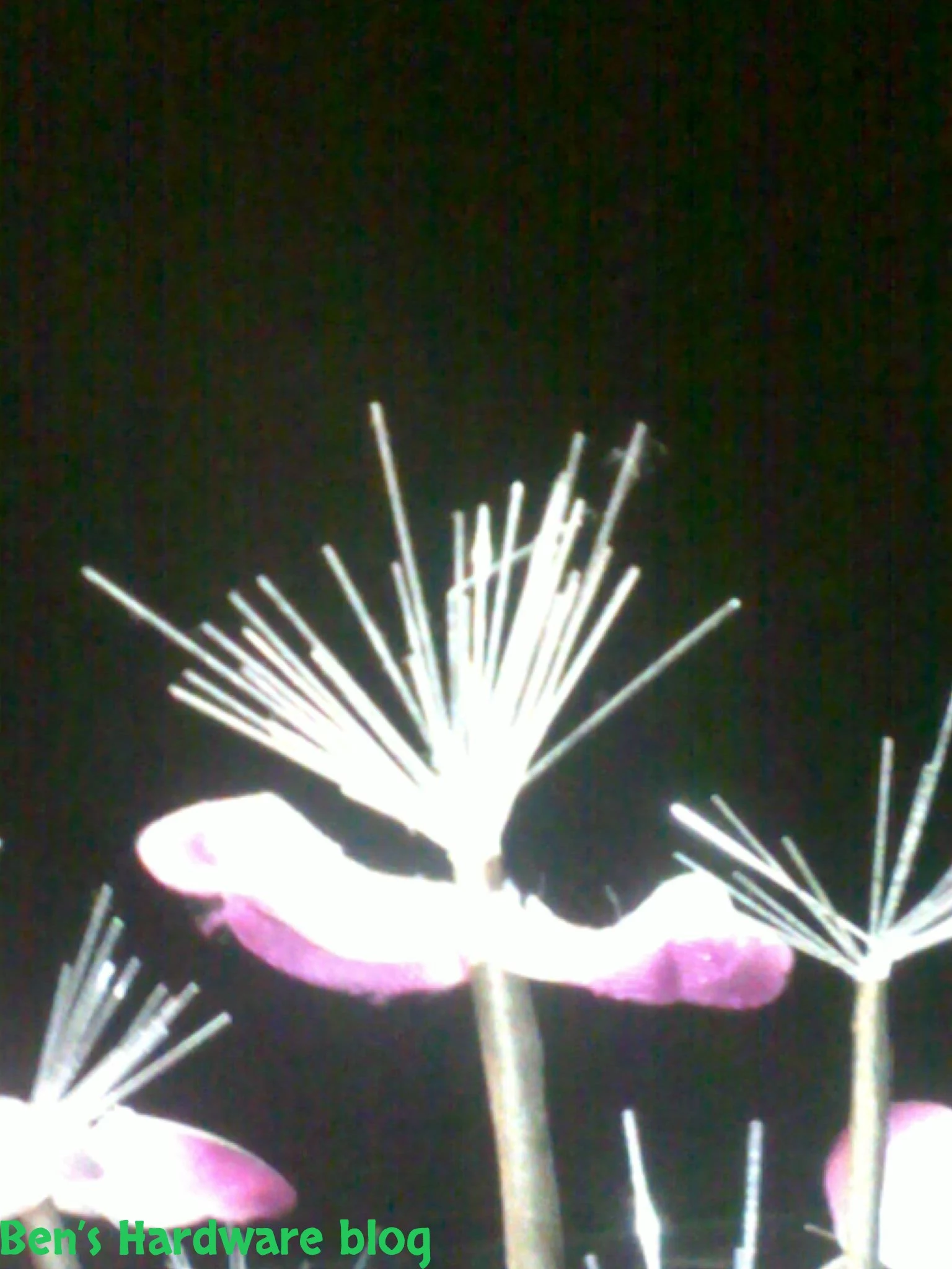 LED_Fiber_Optic_Bouquet_Modification7.webp