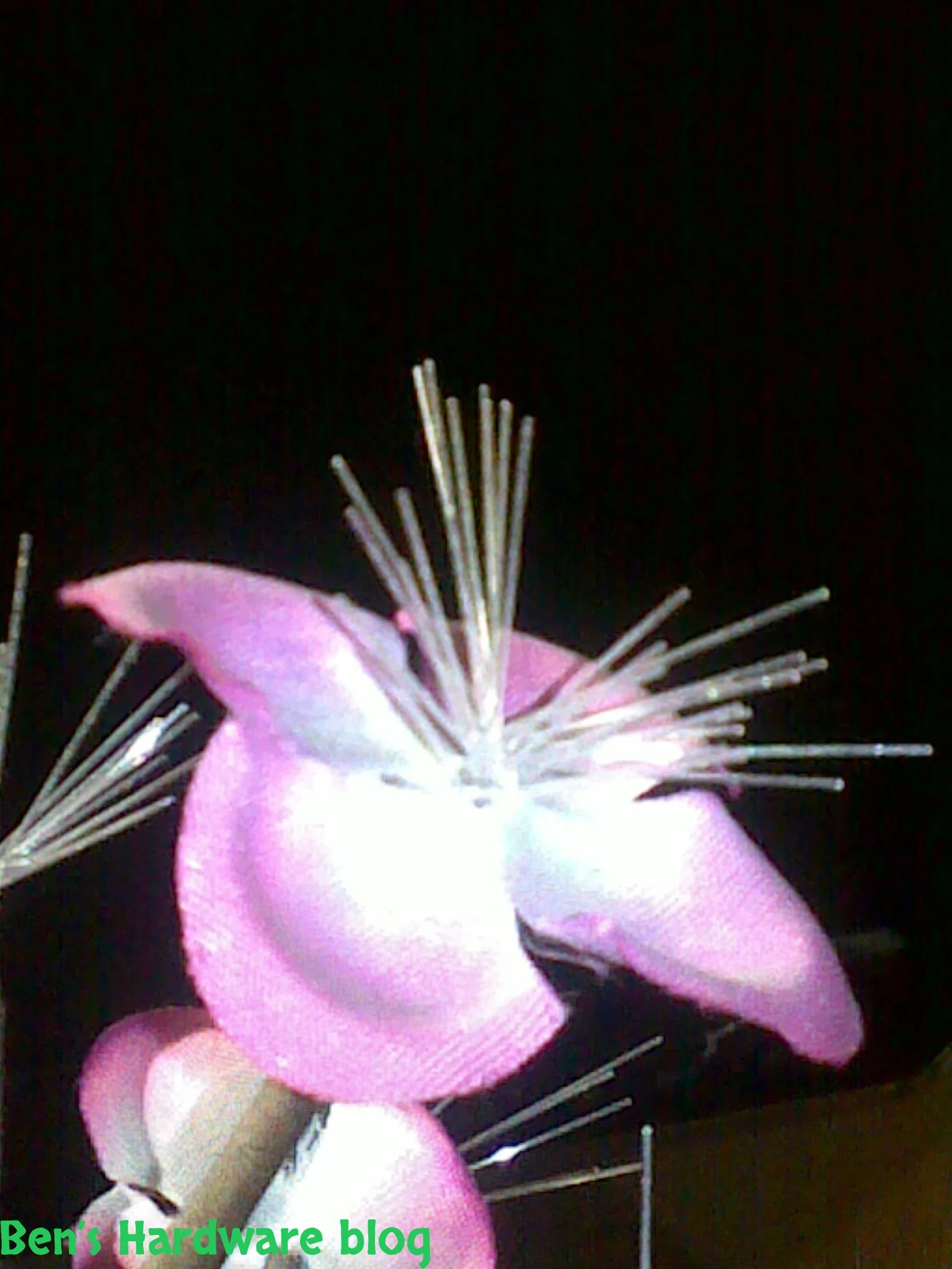 LED_Fiber_Optic_Bouquet_Modification8.webp
